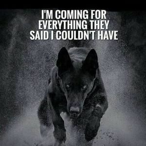 Meet your Posher, Alexander